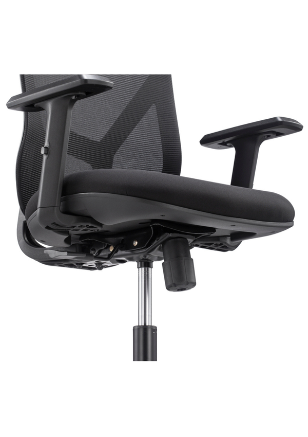 Cadeira Ergonômica de Escritório Preta- Alpha-Movescan